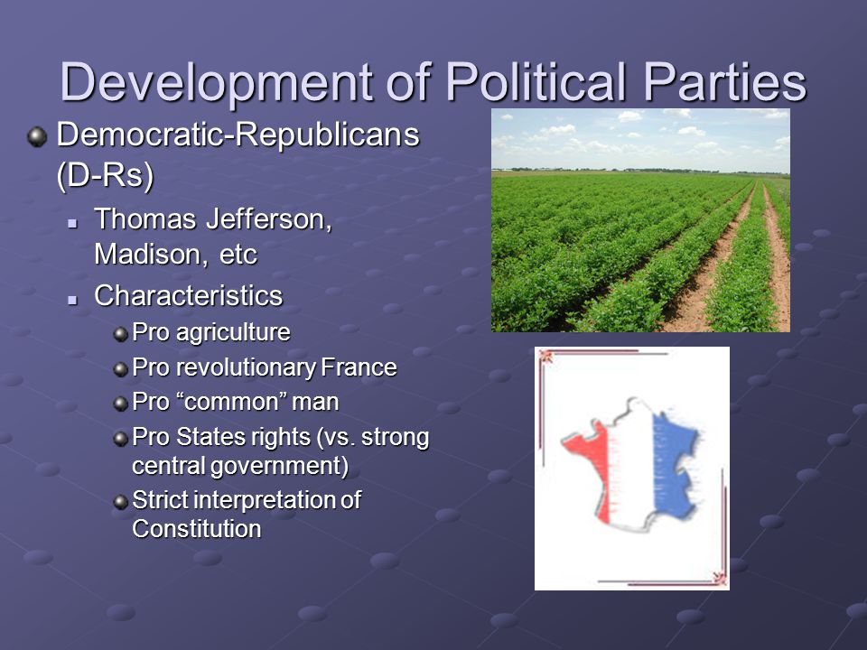 The development of political parties and